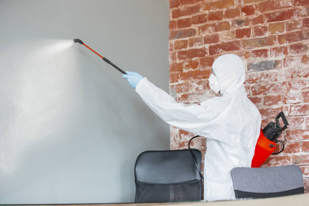 Best Mold-Related Health Consultation  in Union, OH