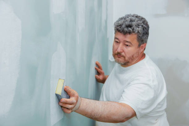  Union, OH Mold Removal Pros
