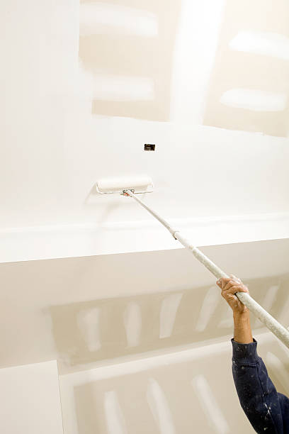 Best Black Mold Removal  in Union, OH