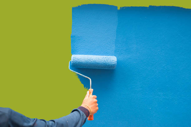 Best Basement Mold Removal  in Union, OH