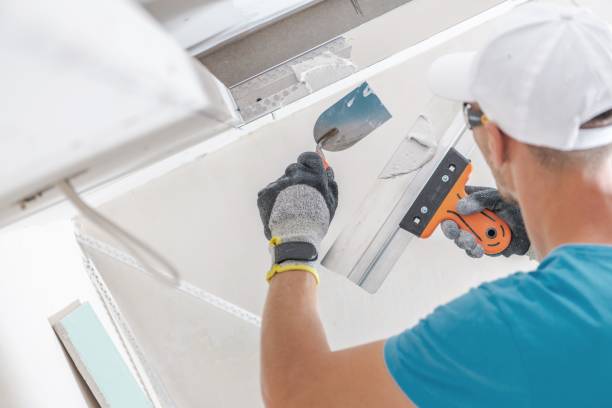 Best Mold Remediation for Rental Properties  in Union, OH